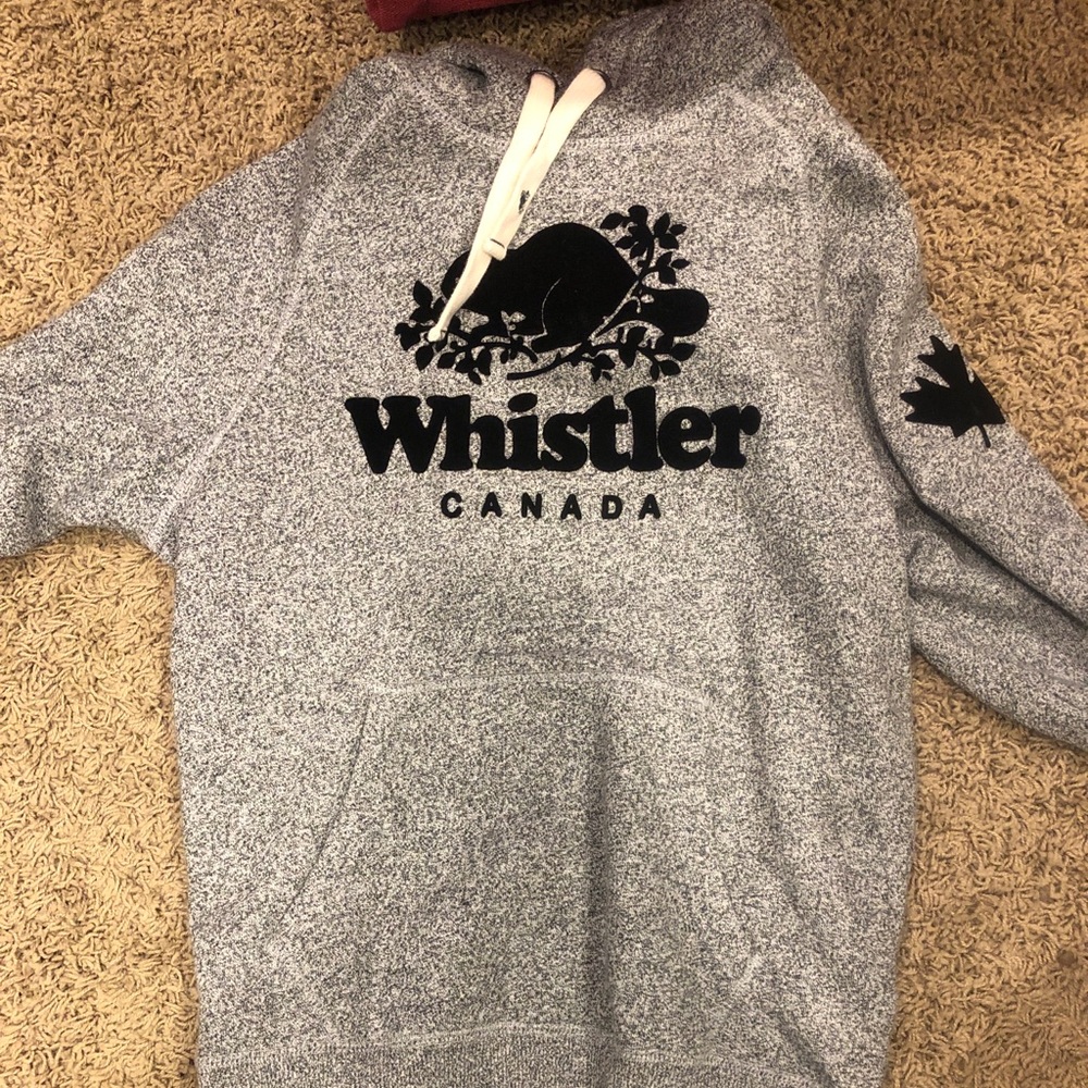 gray roots hoodie